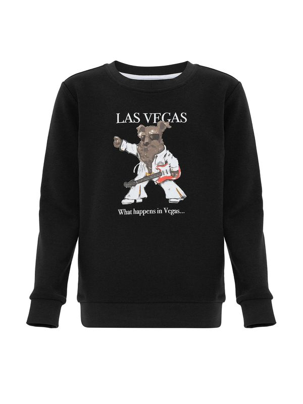 Williot Williot Sweater majica  miks boja / crna