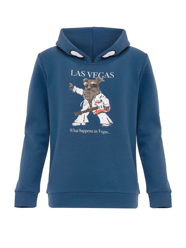 Williot Williot Sweater majica  plava / miks boja