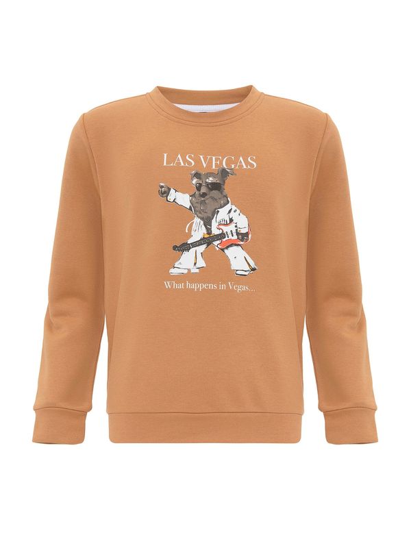 Williot Williot Sweater majica  smeđa / miks boja