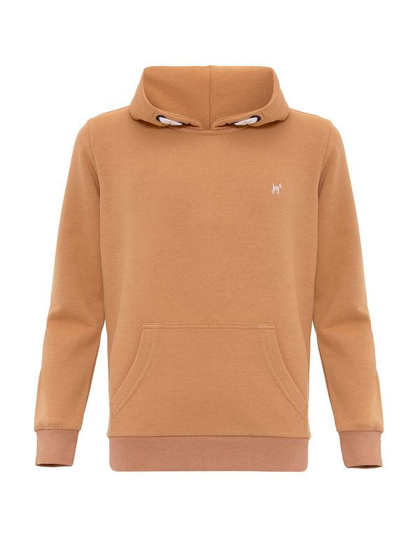 Williot Williot Sweater majica  smeđa