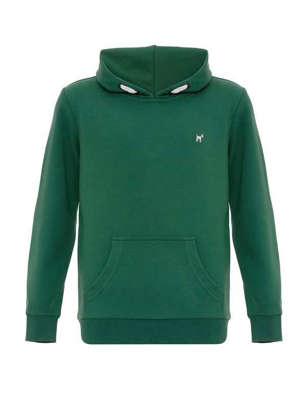 Williot Williot Sweater majica  zelena / bijela