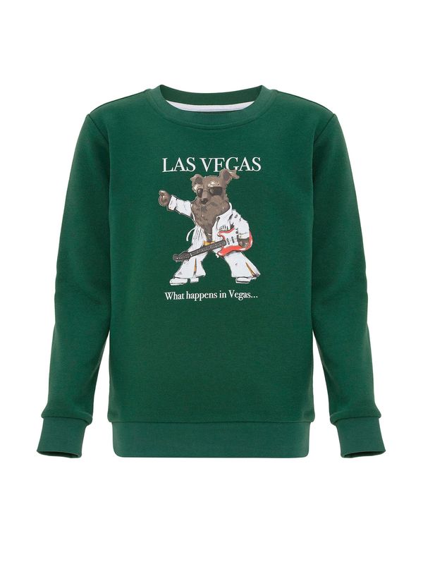 Williot Williot Sweater majica  zelena / miks boja