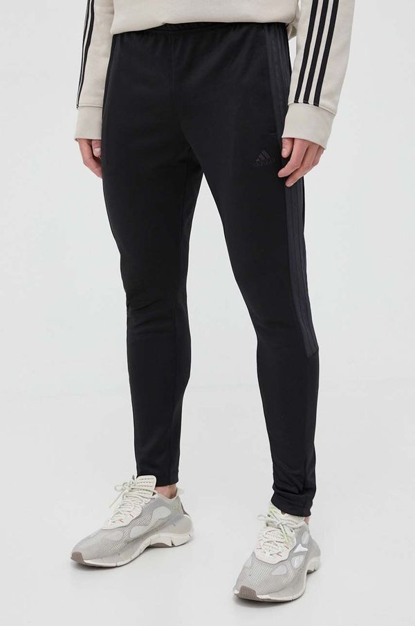 adidas Donji dio trenirke adidas boja: crna, glatki materijal