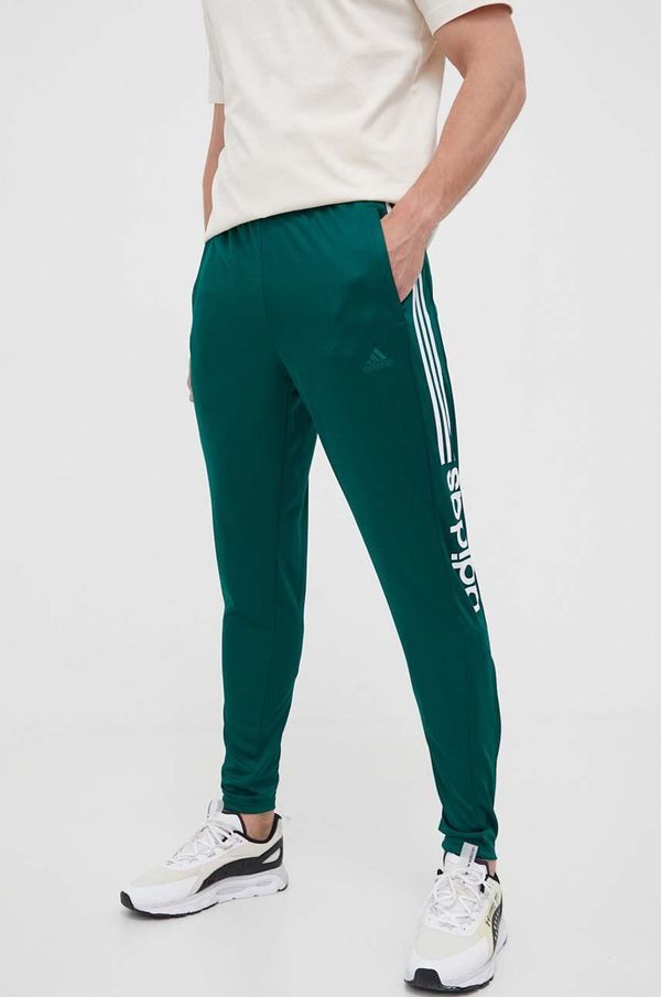adidas Donji dio trenirke adidas boja: zelena, s tiskom