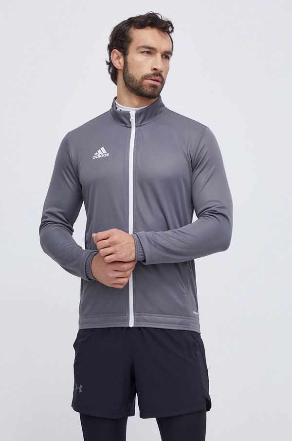adidas Performance Dukserica za trening adidas Performance Entrada 22 boja: siva, s aplikacijom