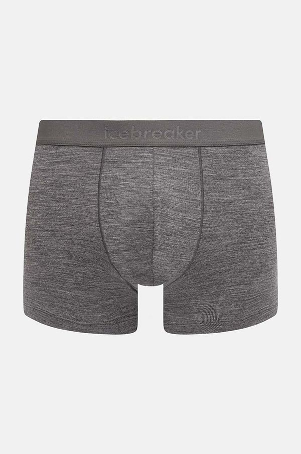 Icebreaker Funkcionalno donje rublje Icebreaker Merino 125 Cool-Lite Anatomica boja: siva, IB0A571V0131