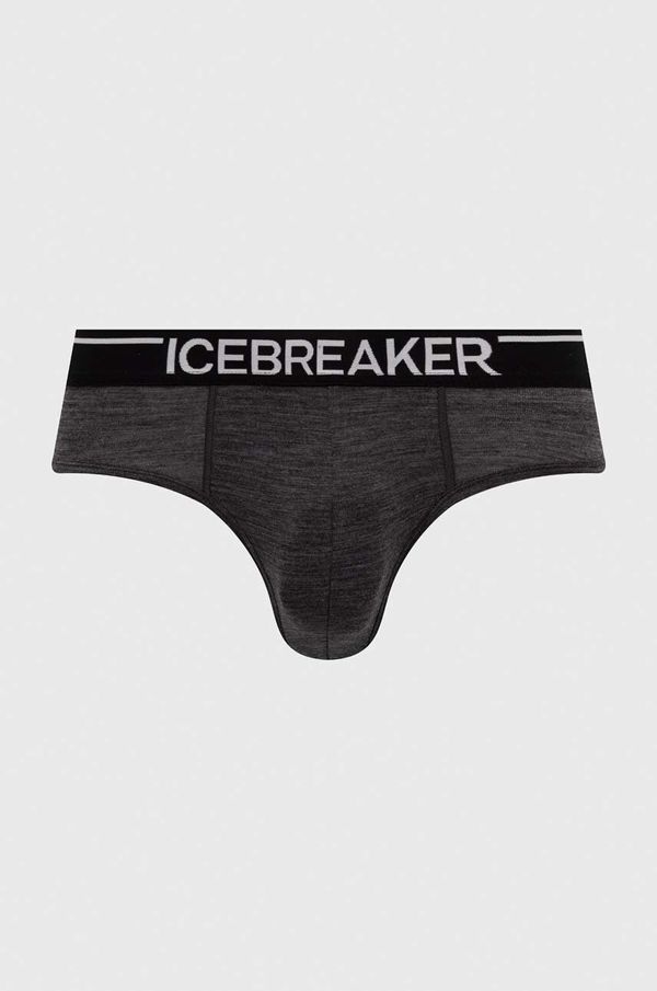 Icebreaker Funkcionalno donje rublje Icebreaker Merino Anatomica boja: siva, IB1030310021