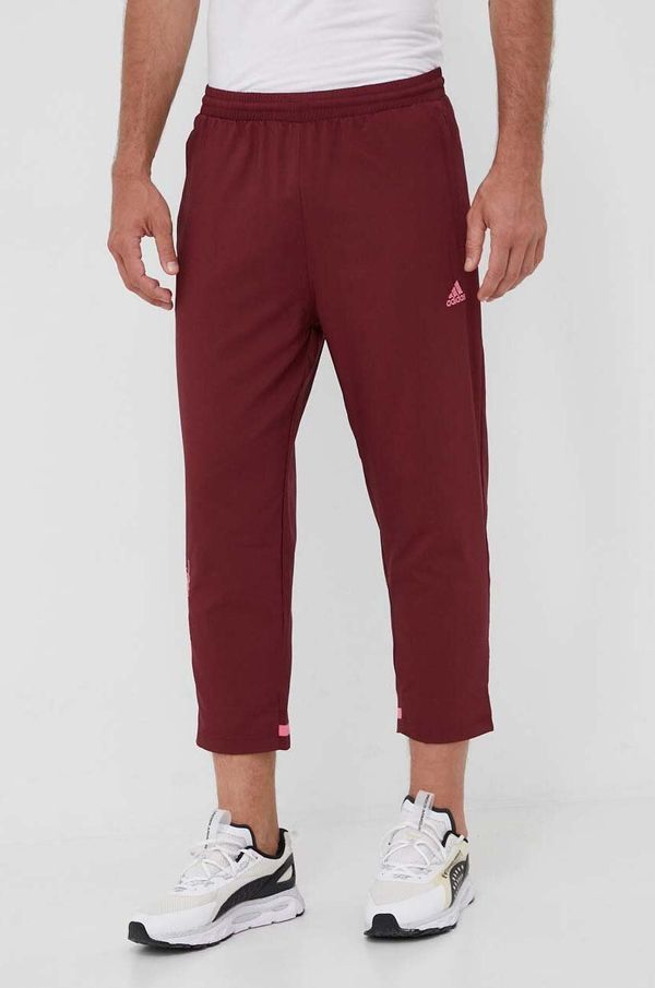 adidas Hlače adidas za muškarce, boja: bordo