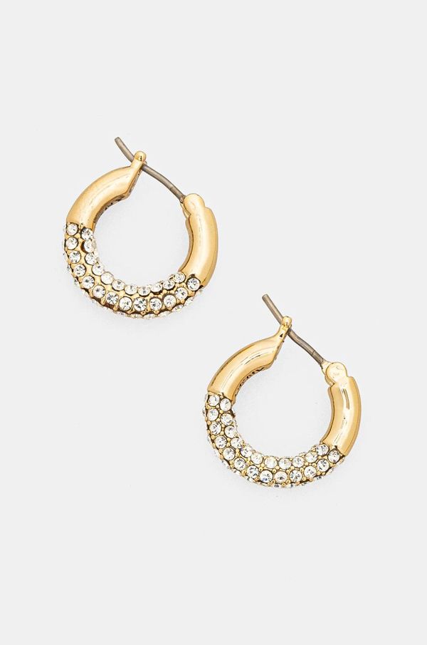 DKNY Naušnice Dkny 0 04G00677