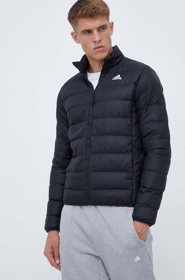 adidas Pernata jakna adidas za muškarce, boja: crna, prijelazno razdoblje