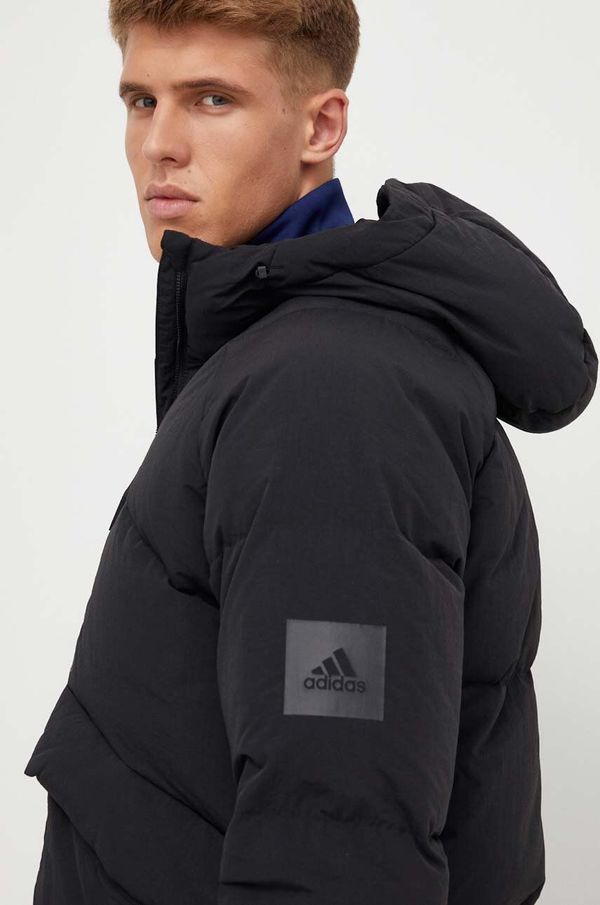 adidas Pernata jakna adidas za muškarce, boja: crna, za zimu