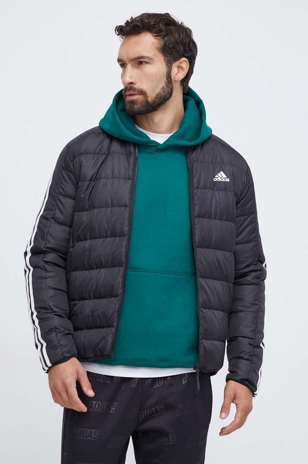 adidas Pernata jakna adidas za muškarce, boja: crna, za zimu