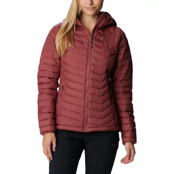 Columbia Columbia powder lite hooded jacket 1699071679
