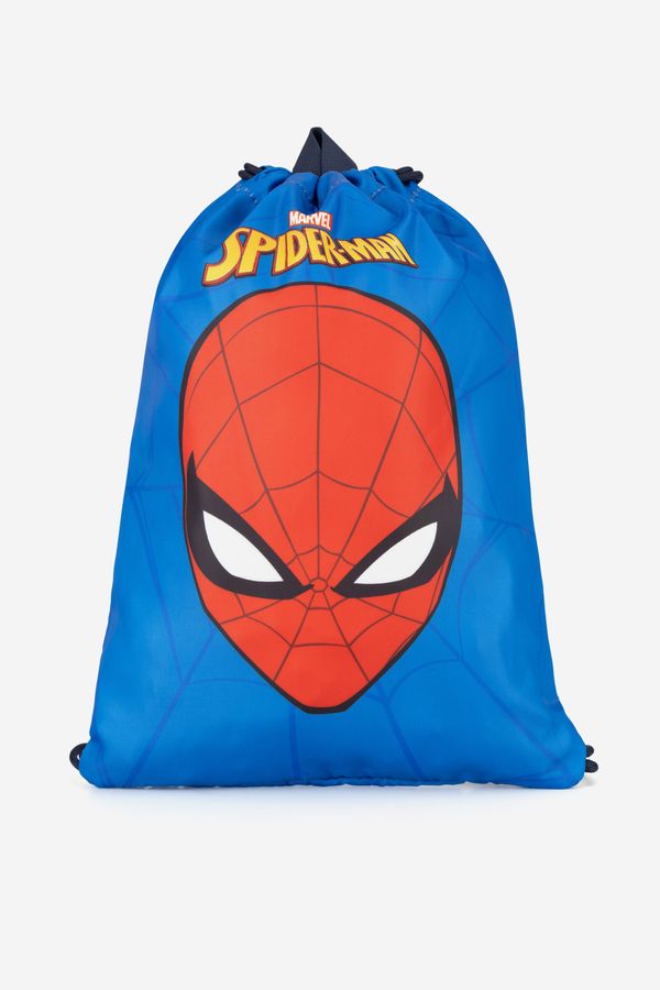 Spiderman Spiderman