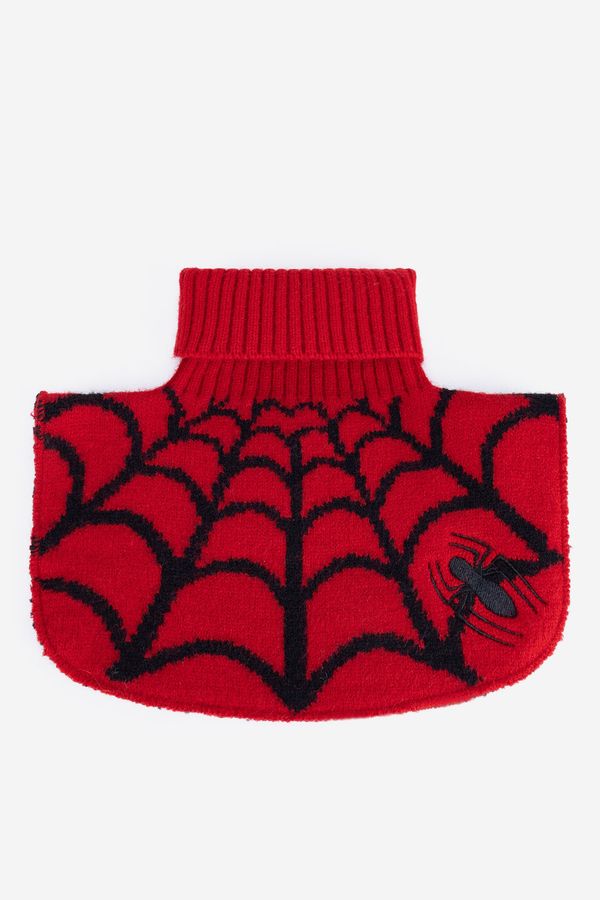 Spiderman Spiderman