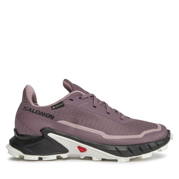 Salomon Obuća Salomon Alphacross 5 Gtx W GORE-TEX 473110 23 W0 Moonscape/Black/White