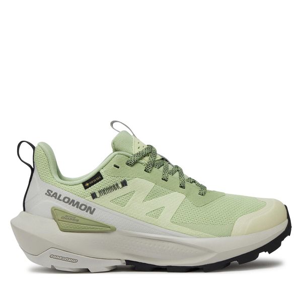 Salomon Trekking Salomon Elixir Activ Gore-Tex L47456300 Zelena