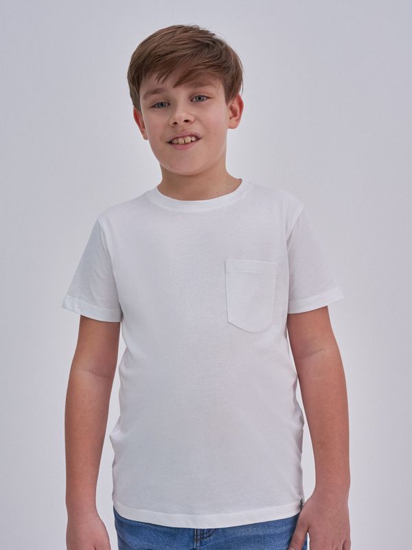 Big Star Big Star Man's T-shirt 152207