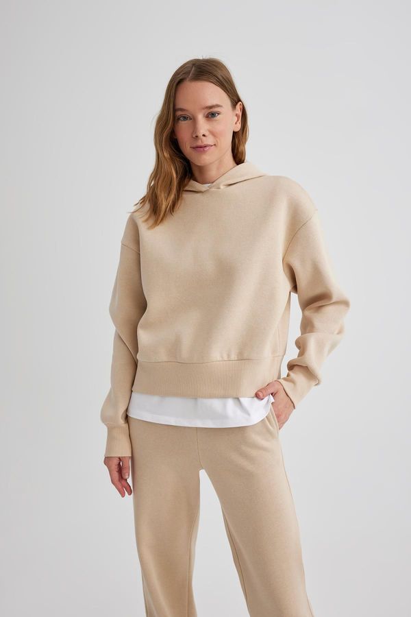 DEFACTO DEFACTO Boxy Fit Hooded Thick Basic Plain Sweatshirt