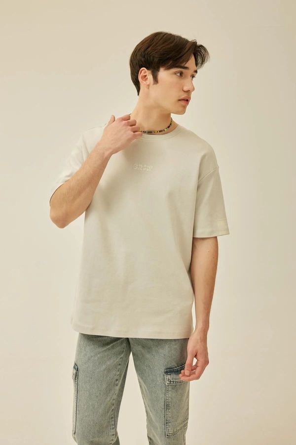 DEFACTO DEFACTO Comfort Fit Crew Neck Printed Short Sleeve Heavy Fabric T-Shirt
