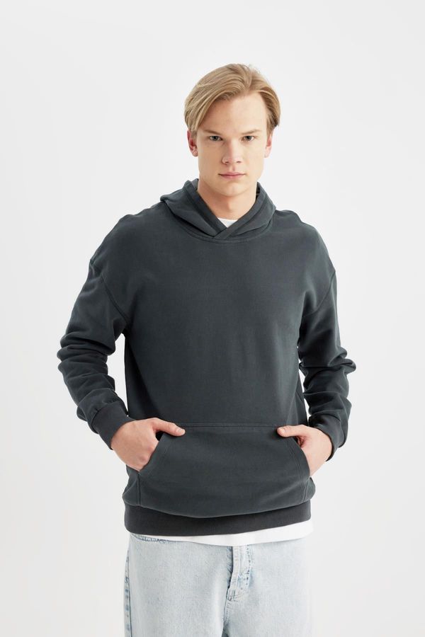 DEFACTO DEFACTO Comfort Regular Fit Casual Pattern Hooded Basic Sweatshirt