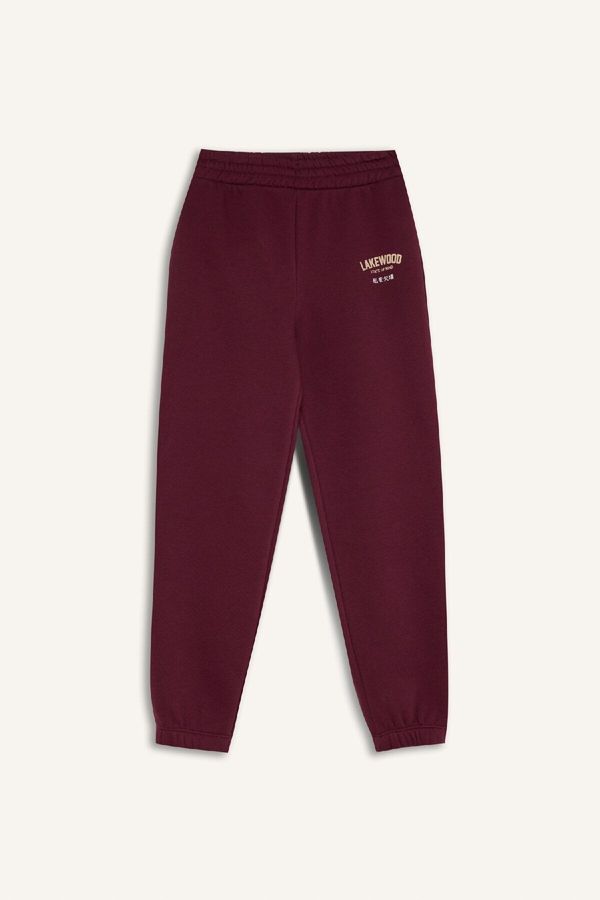 DEFACTO DEFACTO Girl Standard Fit Elastic Waist Leg Printed Jogger Sweatpants