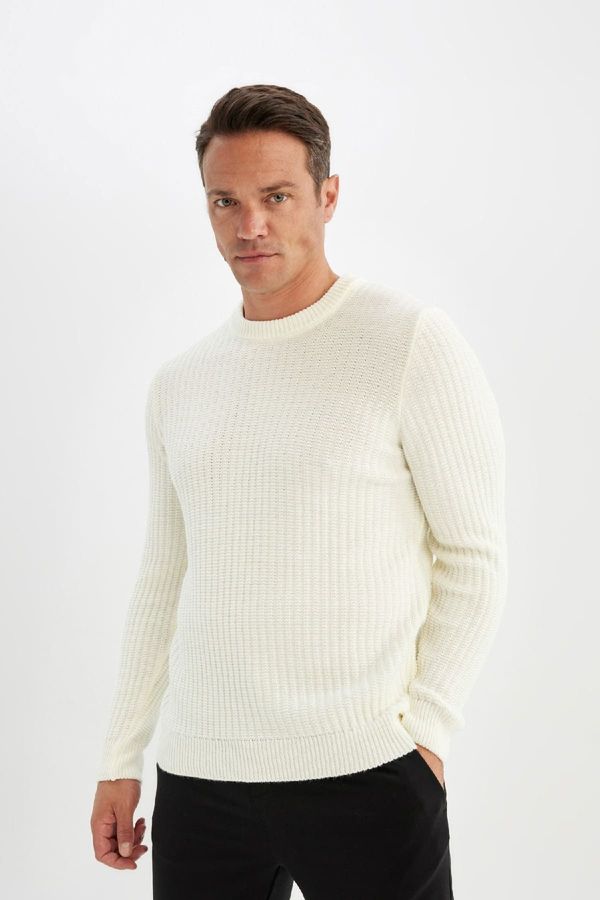 DEFACTO DEFACTO Standard Fit Regular Cut Crew Neck Jacquard Knitwear Sweater