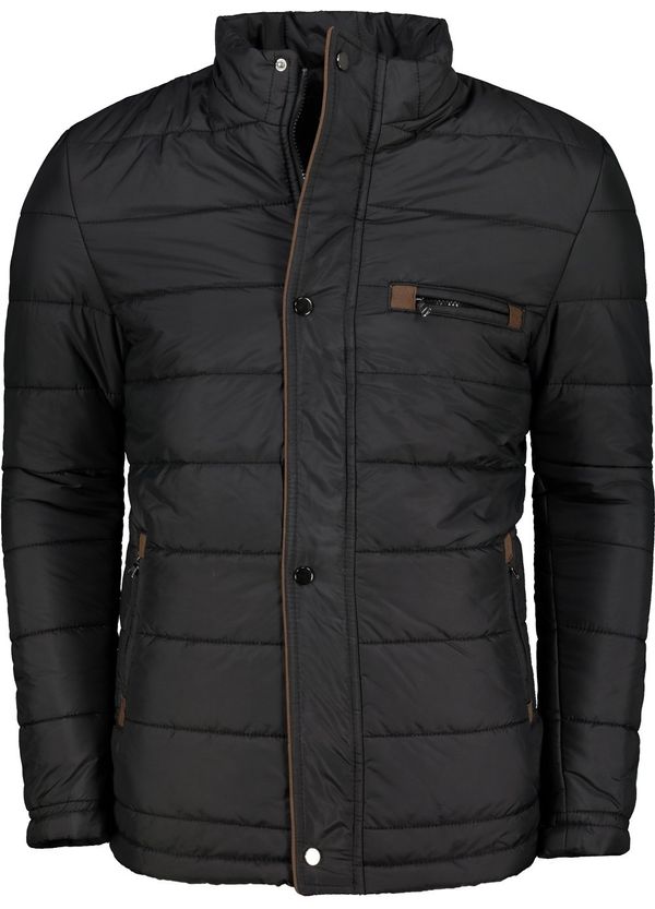 dewberry M8625 ROSA