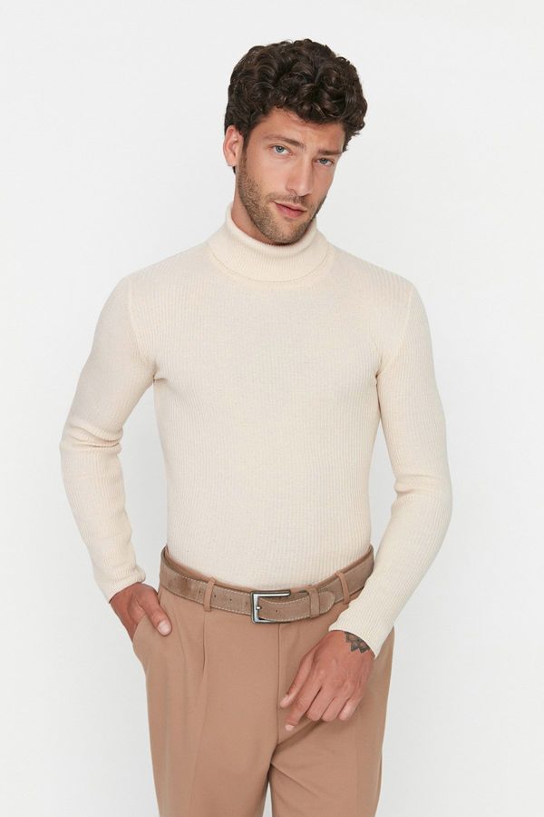 Trendyol Muški pulover  Trendyol Knitwear