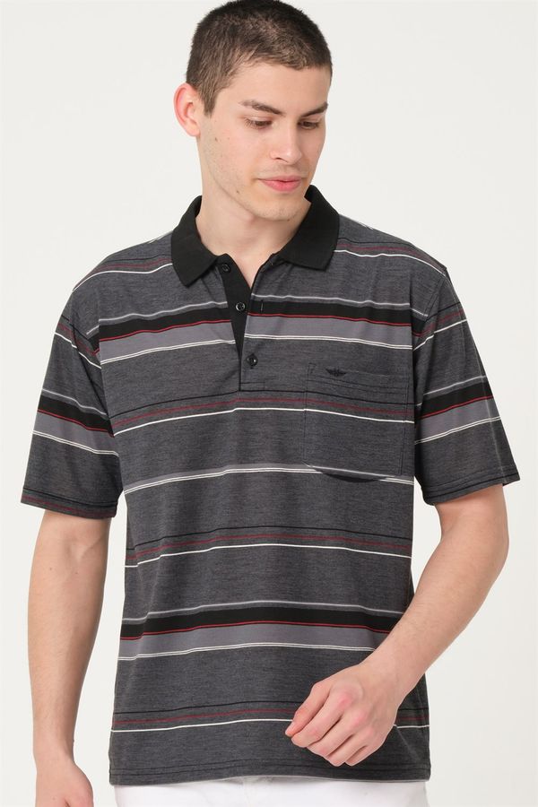 dewberry T0722 ROSA
