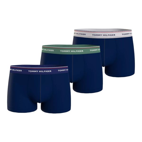 Tommy Hilfiger Tommy Hilfiger Woman's Underpants UM0UM016420Y0 Navy Blue