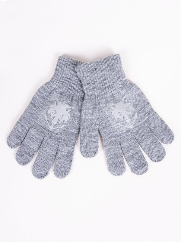 Yoclub Yoclub Kids's Boys' Five-Finger Gloves With Reflector RED-0237C-AA50-003