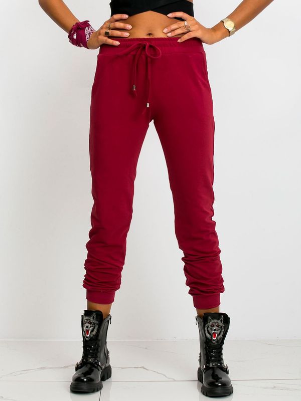 Fashionhunters Ženska trenirka - donji dio Fashionhunters Basic