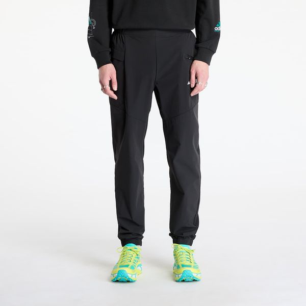 adidas Performance Hlače adidas Terrex Xperior Light Pants Black M