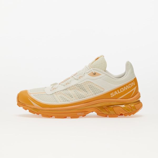 Salomon Advanced Sneakers Salomon XT-6 Ft Vanilla Ice/ Buckskin/ Hzlnut EUR 44 2/3