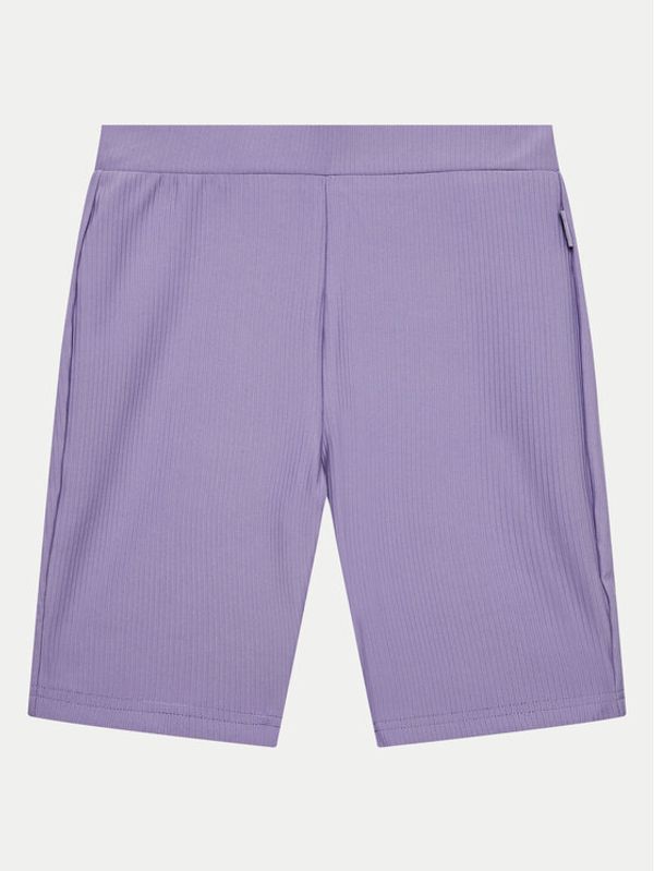 4F 4F Sportske kratke hlače 4FJWSS24TTIGF134 Ljubičasta Slim Fit