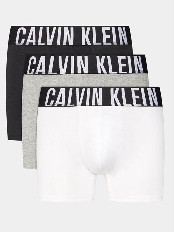 Calvin Klein Underwear Calvin Klein Underwear Set od 3 para bokserica 000NB3609A Šarena
