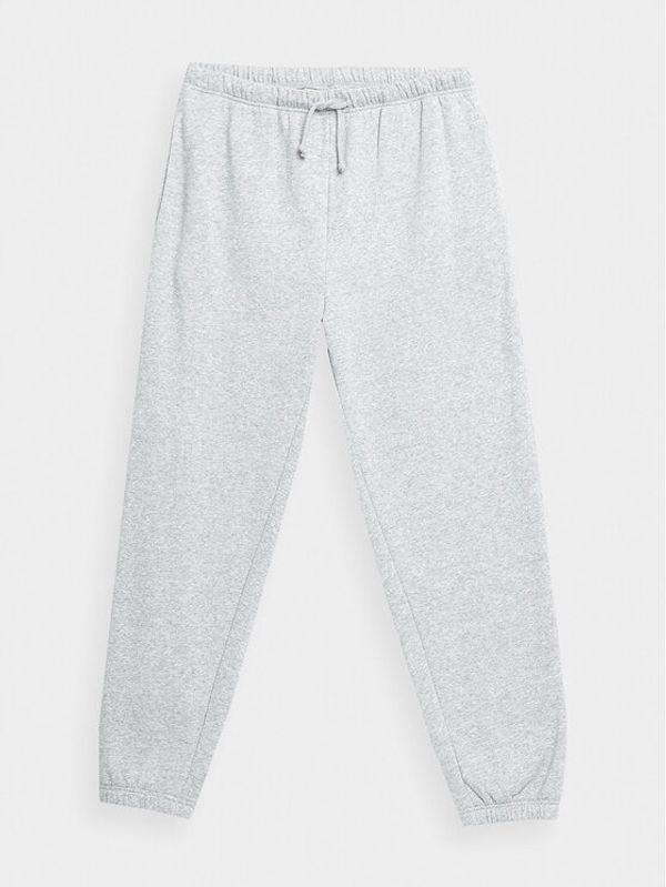 Outhorn Outhorn Donji dio trenerke OTHAW23TTROM444 Siva Regular Fit