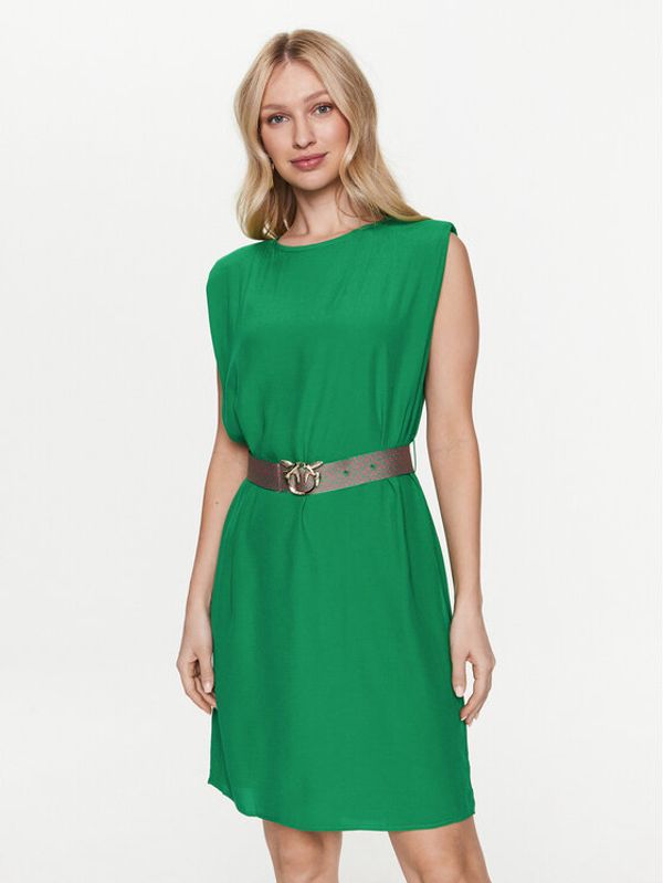 PINKO Pinko Haljina za svaki dan 101138 A0US Zelena Regular Fit