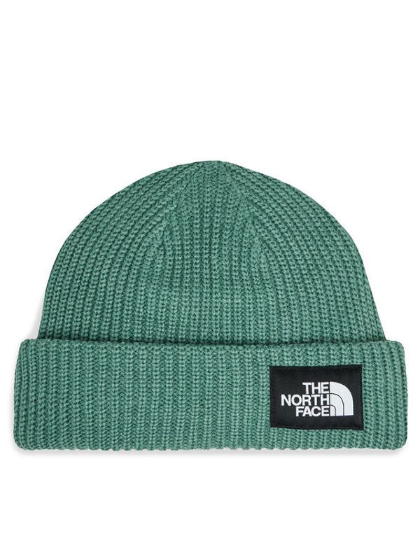 The North Face The North Face Kapa Salty Lined BeanieNF0A3FJWI0F1 Zelena