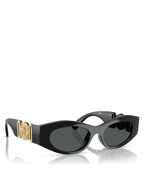 Versace Versace Sunčane naočale 0VE4480U 51 GB1/87 Crna