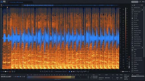 iZotope iZotope RX 11 Standard: CRG from any paid iZotope product (Digitalni proizvod)