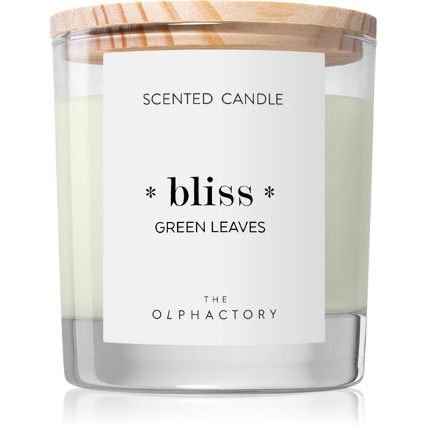 Ambientair Ambientair The Olphactory Green Leaves mirisna svijeća Bliss 200 g