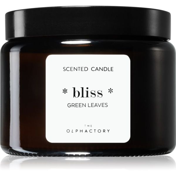 Ambientair Ambientair The Olphactory Green Leaves mirisna svijeća Bliss 360 g