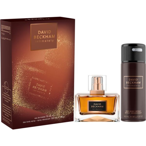 David Beckham David Beckham Instinct poklon set za muškarce