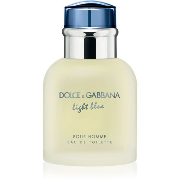 Dolce&Gabbana Dolce&Gabbana Light Blue Pour Homme toaletna voda za muškarce 40 ml