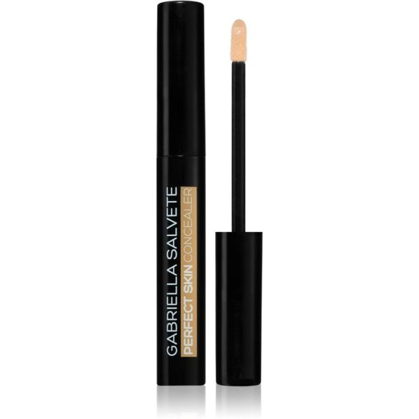 Gabriella Salvete Gabriella Salvete Perfect Skin vodootporni korektor za nepravilnosti na koži lica nijansa 01 6,2 ml