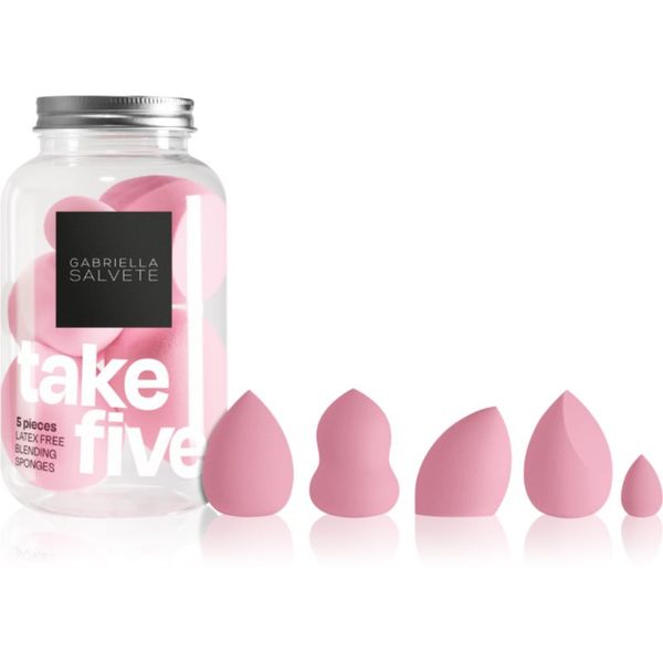 Gabriella Salvete Gabriella Salvete Take Five Pink set aplikatora (za lice)