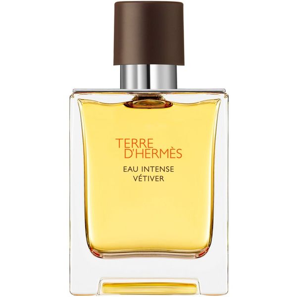 HERMÈS HERMÈS Terre d’Hermès Eau Intense Vétiver parfemska voda za muškarce 50 ml