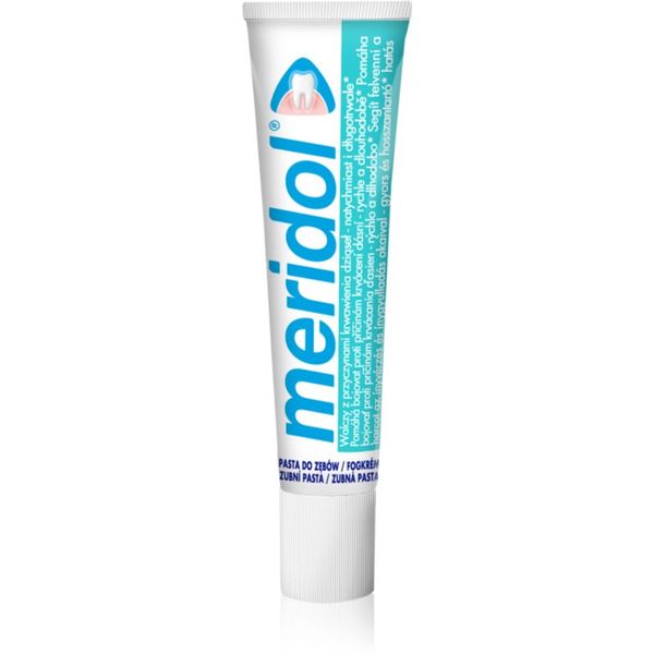 Meridol Meridol Gum Protection pasta za zube potiče oporavak nadraženih desni 20 ml